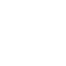 icon-valores